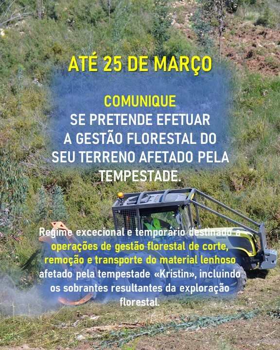 Notícia Tempestade Kristin