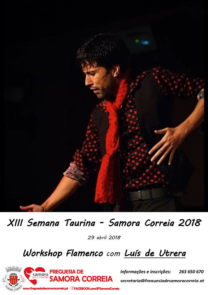 Imagem Workshop Flamenco